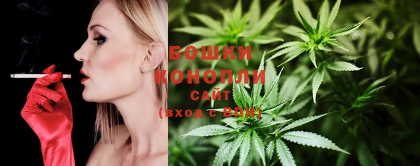 мет Няндома
