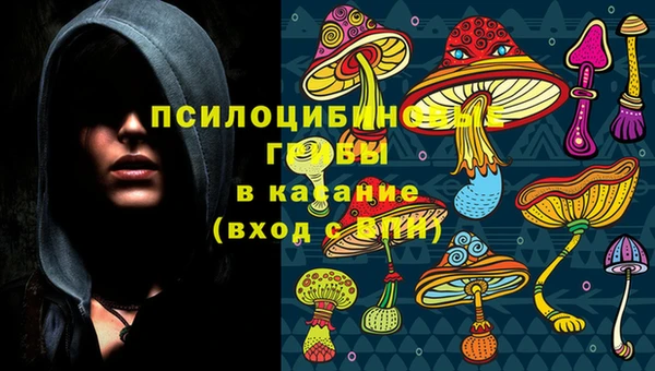 дурь Нягань