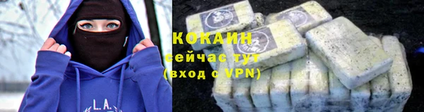 твердый Новокубанск
