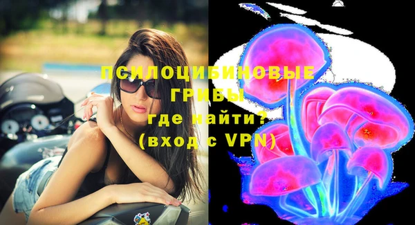 дурь Нягань