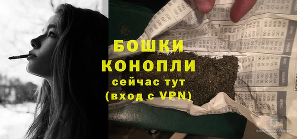 мет Няндома