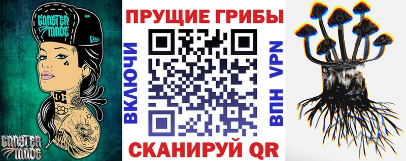 Купить где  Камбарка  Галлюциногенные грибы ЛСД 