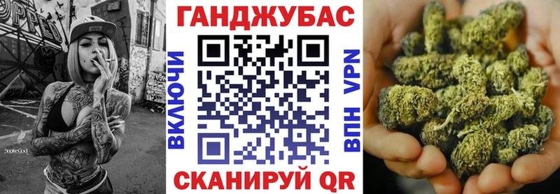 Бошки Шишки планчик  Купить  Камбарка 